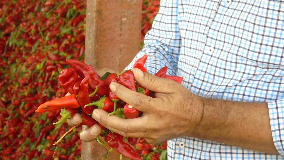 A A 20250911 39083668 39083658 G A Z I A N T E P T E U R E T I C I L E R I N V E M E V S I M L I K I S C I L E R I N A C I M E S A I S I B A S L A D I