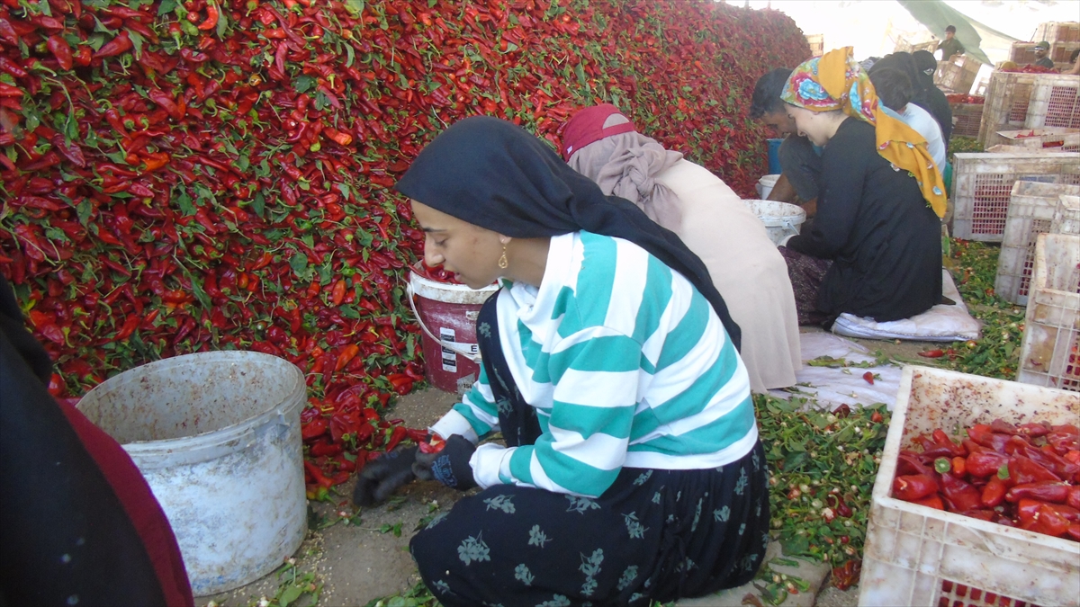 A A 20250911 39083668 39083660 G A Z I A N T E P T E U R E T I C I L E R I N V E M E V S I M L I K I S C I L E R I N A C I M E S A I S I B A S L A D I