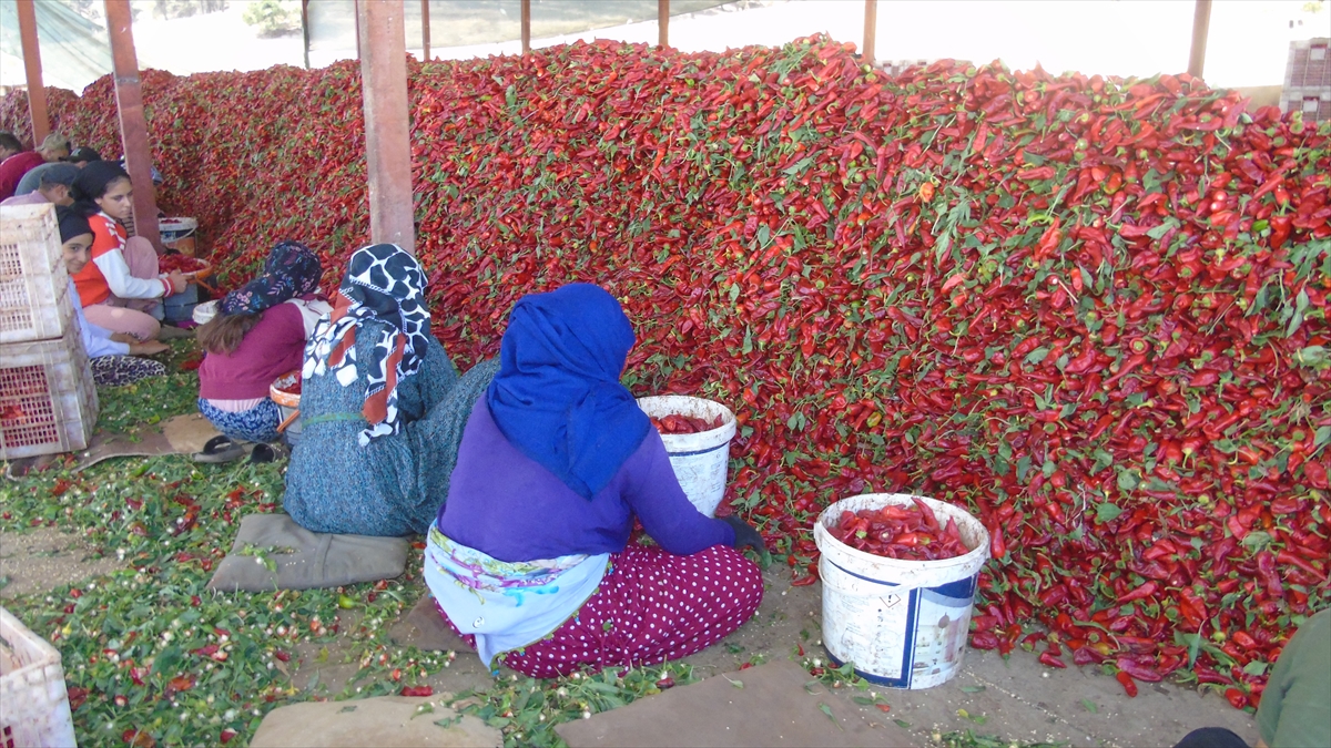 A A 20250911 39083668 39083661 G A Z I A N T E P T E U R E T I C I L E R I N V E M E V S I M L I K I S C I L E R I N A C I M E S A I S I B A S L A D I