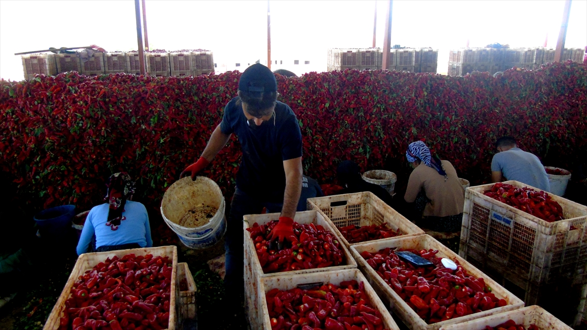 A A 20250911 39083668 39083662 G A Z I A N T E P T E U R E T I C I L E R I N V E M E V S I M L I K I S C I L E R I N A C I M E S A I S I B A S L A D I