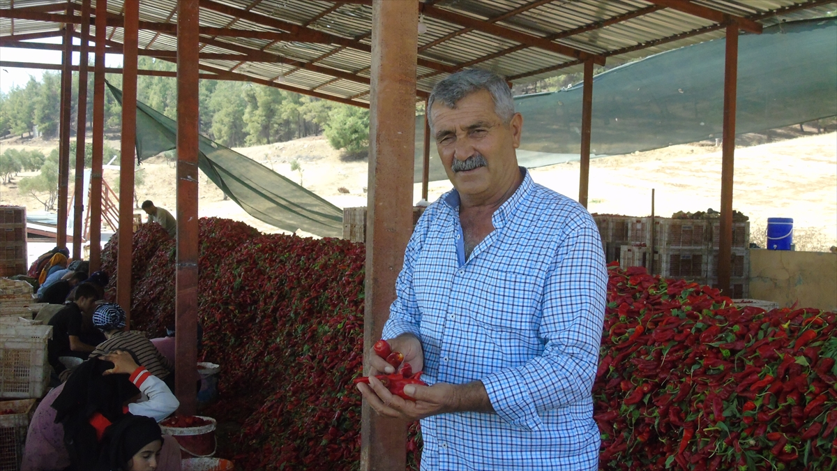 A A 20250911 39083668 39083663 G A Z I A N T E P T E U R E T I C I L E R I N V E M E V S I M L I K I S C I L E R I N A C I M E S A I S I B A S L A D I