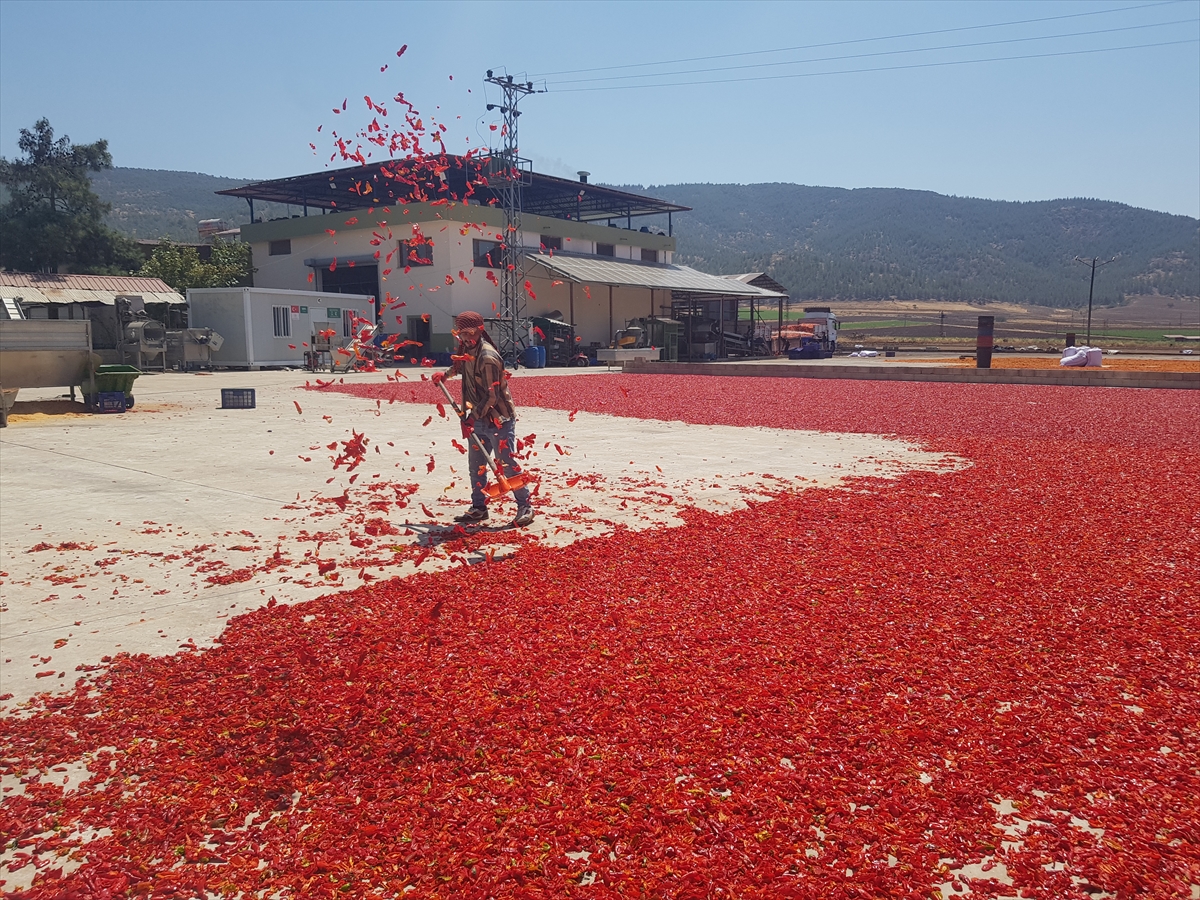 A A 20250911 39083668 39083666 G A Z I A N T E P T E U R E T I C I L E R I N V E M E V S I M L I K I S C I L E R I N A C I M E S A I S I B A S L A D I