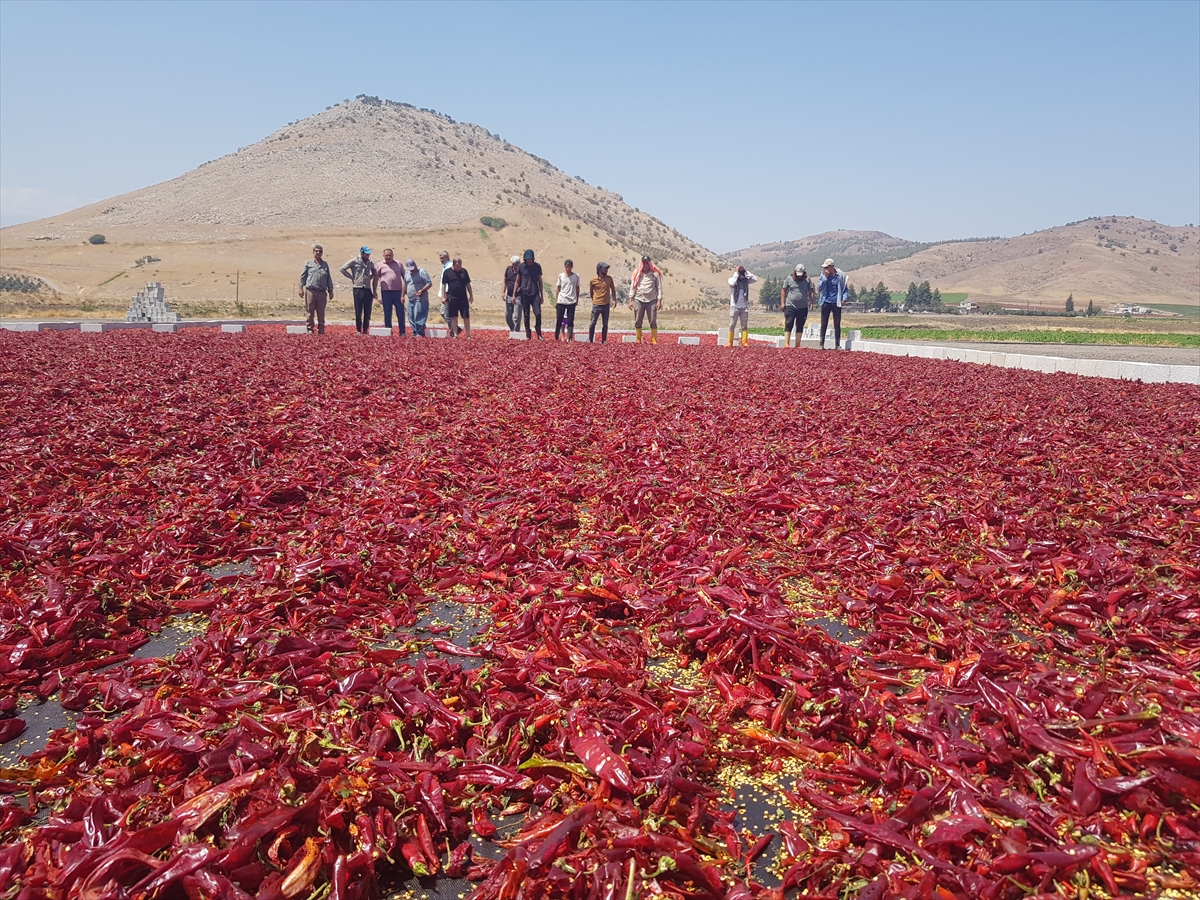 A A 20250911 39083668 39083667 G A Z I A N T E P T E U R E T I C I L E R I N V E M E V S I M L I K I S C I L E R I N A C I M E S A I S I B A S L A D I