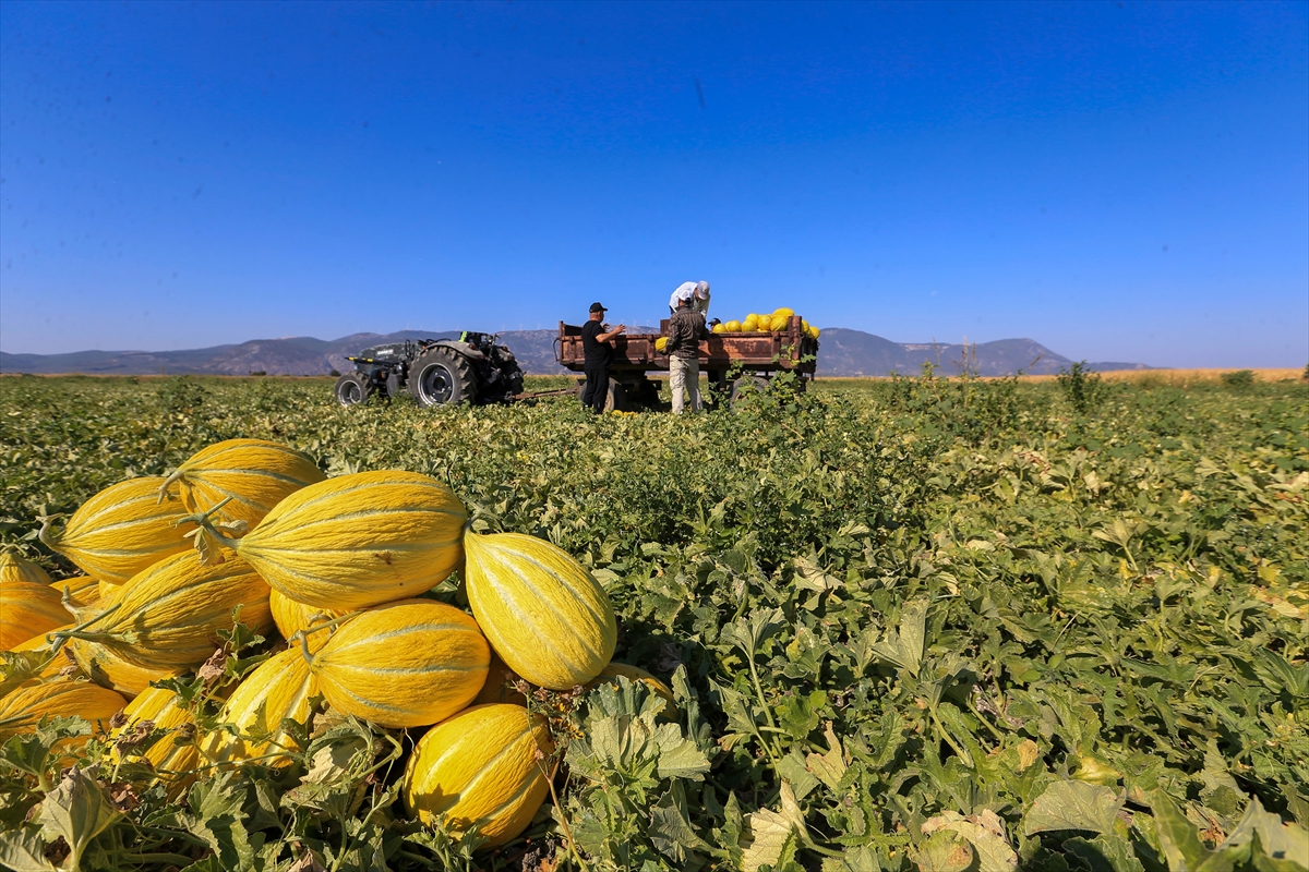 A A 20250913 39100532 39100523 A B D E N C O G R A F I I S A R E T T E S C I L L I K I R K A G A C K A V U N U N D A H A S A T S U R U Y O R