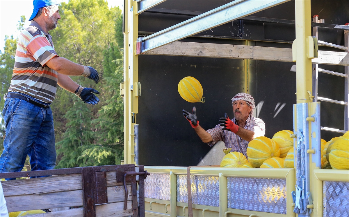 A A 20250913 39100532 39100525 A B D E N C O G R A F I I S A R E T T E S C I L L I K I R K A G A C K A V U N U N D A H A S A T S U R U Y O R