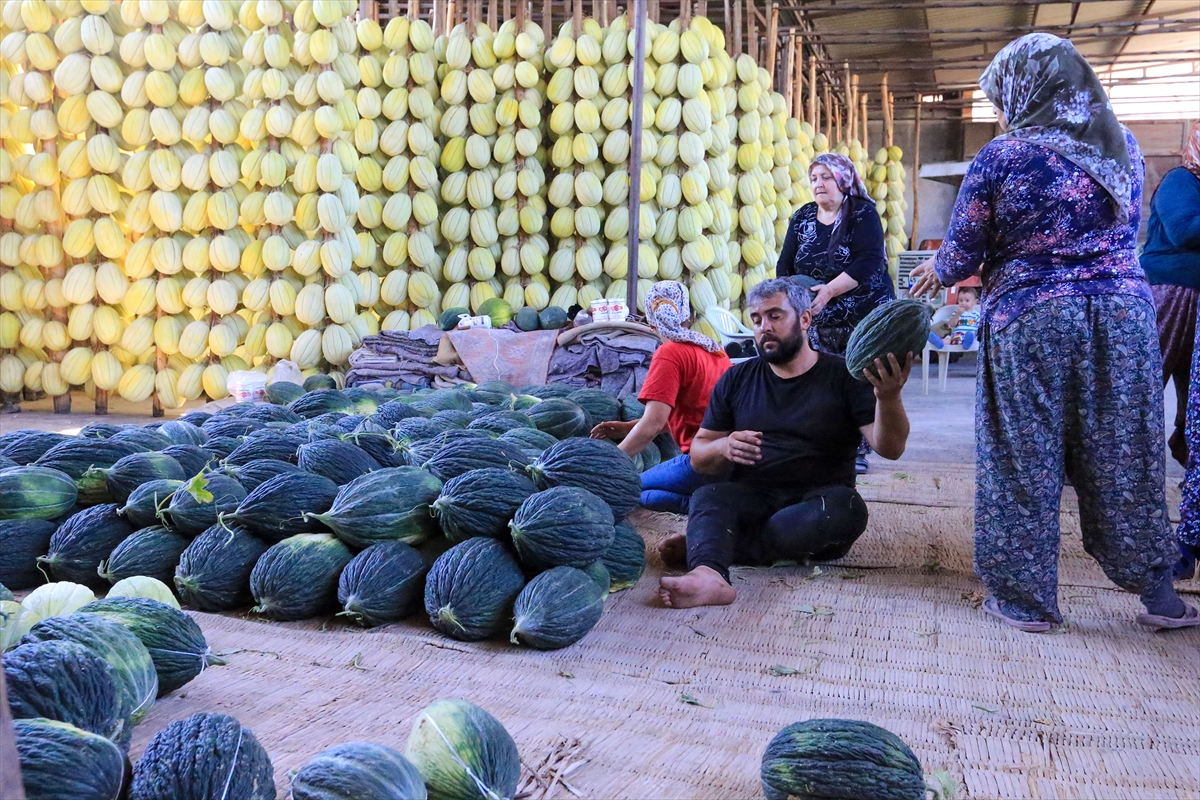 A A 20250913 39100532 39100527 A B D E N C O G R A F I I S A R E T T E S C I L L I K I R K A G A C K A V U N U N D A H A S A T S U R U Y O R