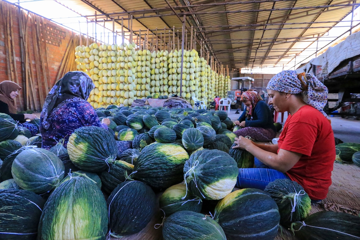 A A 20250913 39100532 39100530 A B D E N C O G R A F I I S A R E T T E S C I L L I K I R K A G A C K A V U N U N D A H A S A T S U R U Y O R