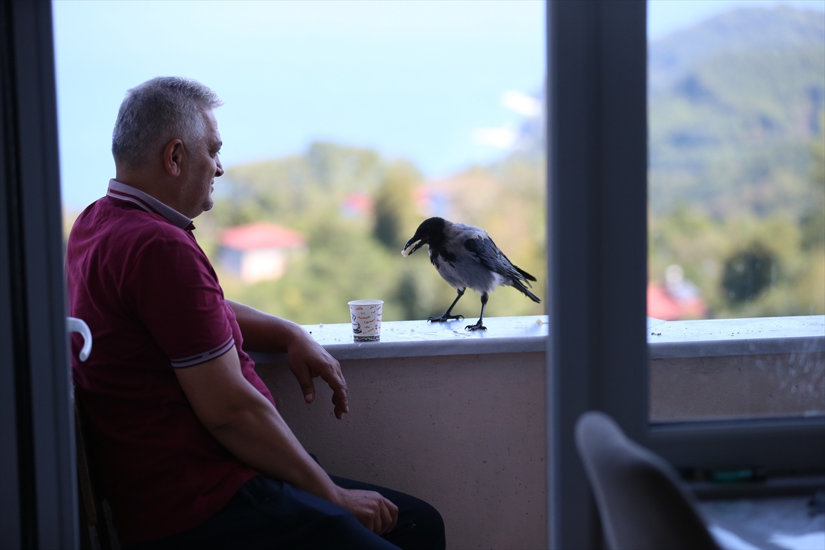 A A 20250914 39110173 39110168 F I N D I K I K R A M E T T I G I K A R G A Y L A D O S T L U K K U R D U