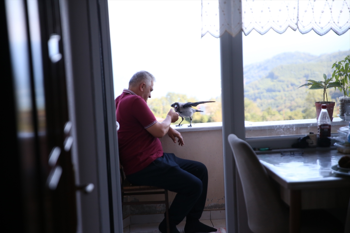 A A 20250914 39110173 39110169 F I N D I K I K R A M E T T I G I K A R G A Y L A D O S T L U K K U R D U