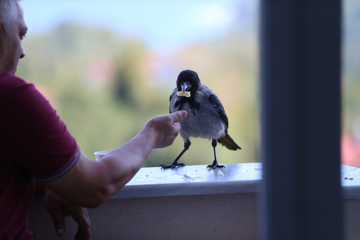 A A 20250914 39110173 39110170 F I N D I K I K R A M E T T I G I K A R G A Y L A D O S T L U K K U R D U