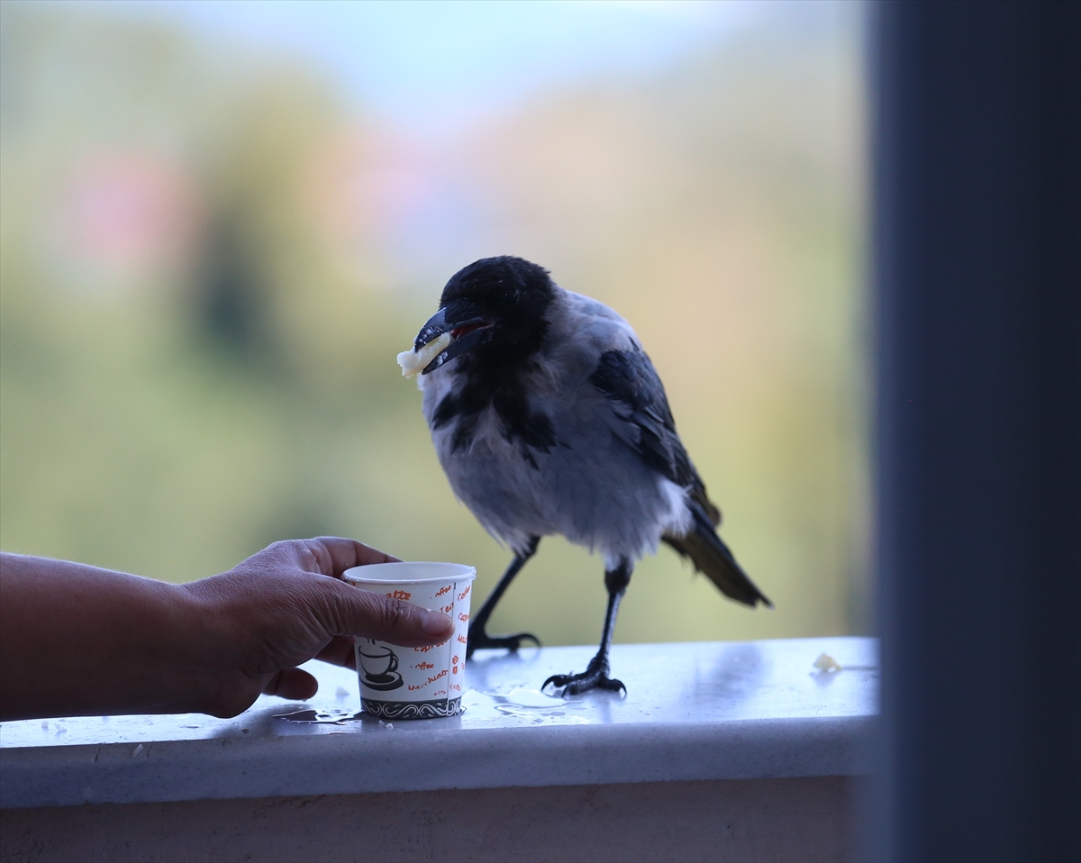 A A 20250914 39110173 39110171 F I N D I K I K R A M E T T I G I K A R G A Y L A D O S T L U K K U R D U