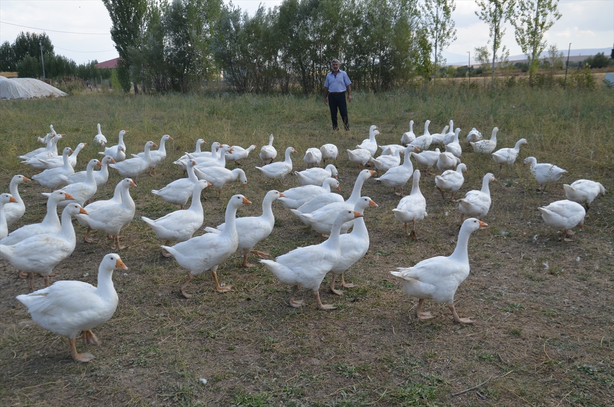 A A 20250915 39119726 39119717 M U S T A Y E T I S T I R I C I L E R E 2 B I N K A Z Y A V R U S U D A G I T I L D I