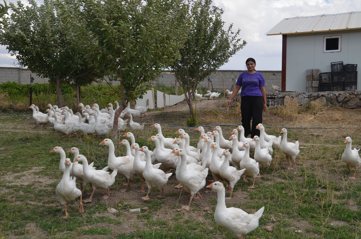 A A 20250915 39119726 39119721 M U S T A Y E T I S T I R I C I L E R E 2 B I N K A Z Y A V R U S U D A G I T I L D I