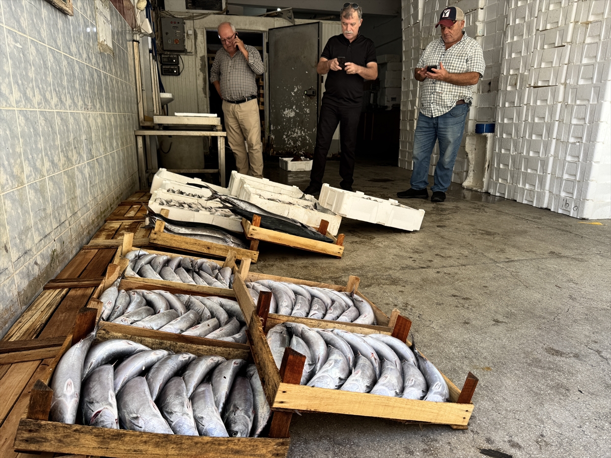 A A 20250924 39210794 39210789 S I N O P T A B I R G E C E D E Y A K L A S I K 9 B I N P A L A M U T A V L A N D I