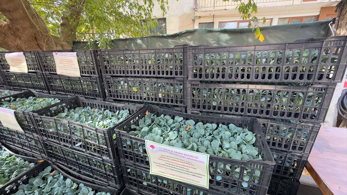 A A 20250924 39211581 39211579 S A R I Y E R D E 62 U R E T I C I Y E 112 B I N F I D E D A G I T I L D I