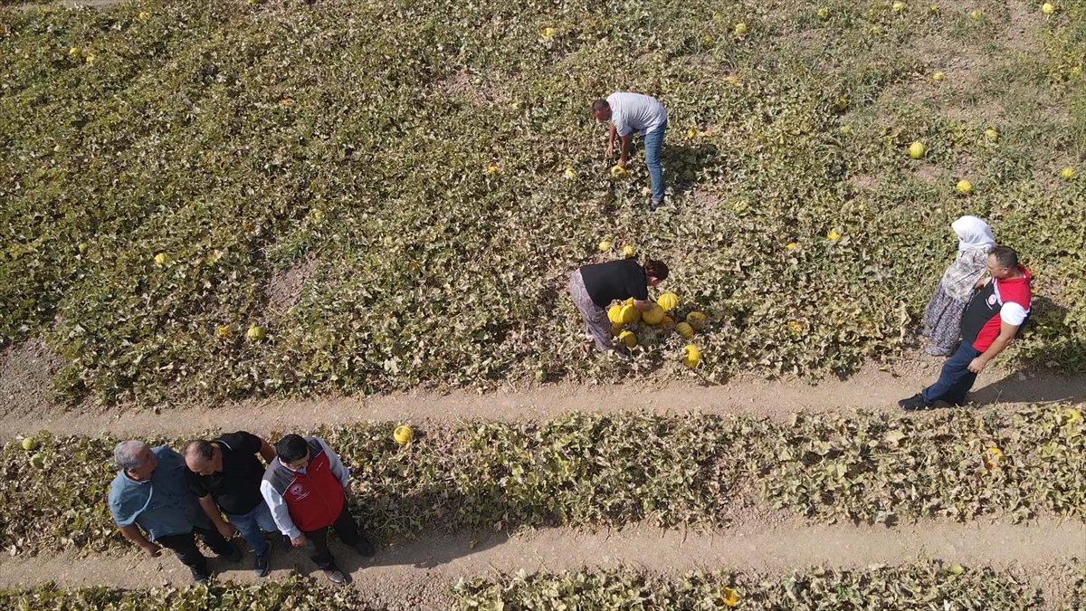 A A 20250926 39234906 39234899 M U G L A D A I N I L E R E K U L A S I L A N K A R A B A G L A R Y A Y L A S I N D A K A V U N H A S A D I Y A P I L D I