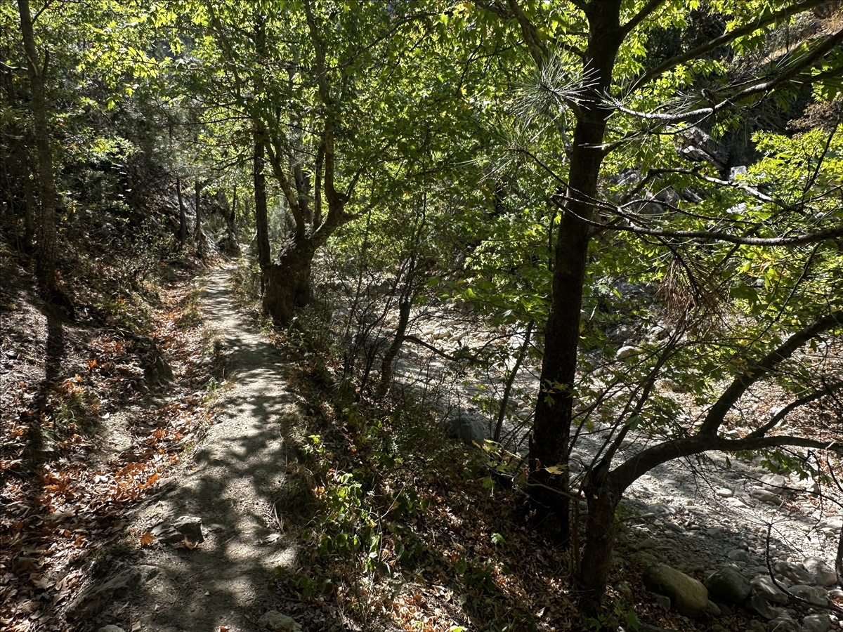 A A 20250926 39235005 39234998 I S P A R T A D A K I Y A K A K A N Y O N U N D A S U L A R K U R A K L I K N E D E N I Y L E C E K I L D I