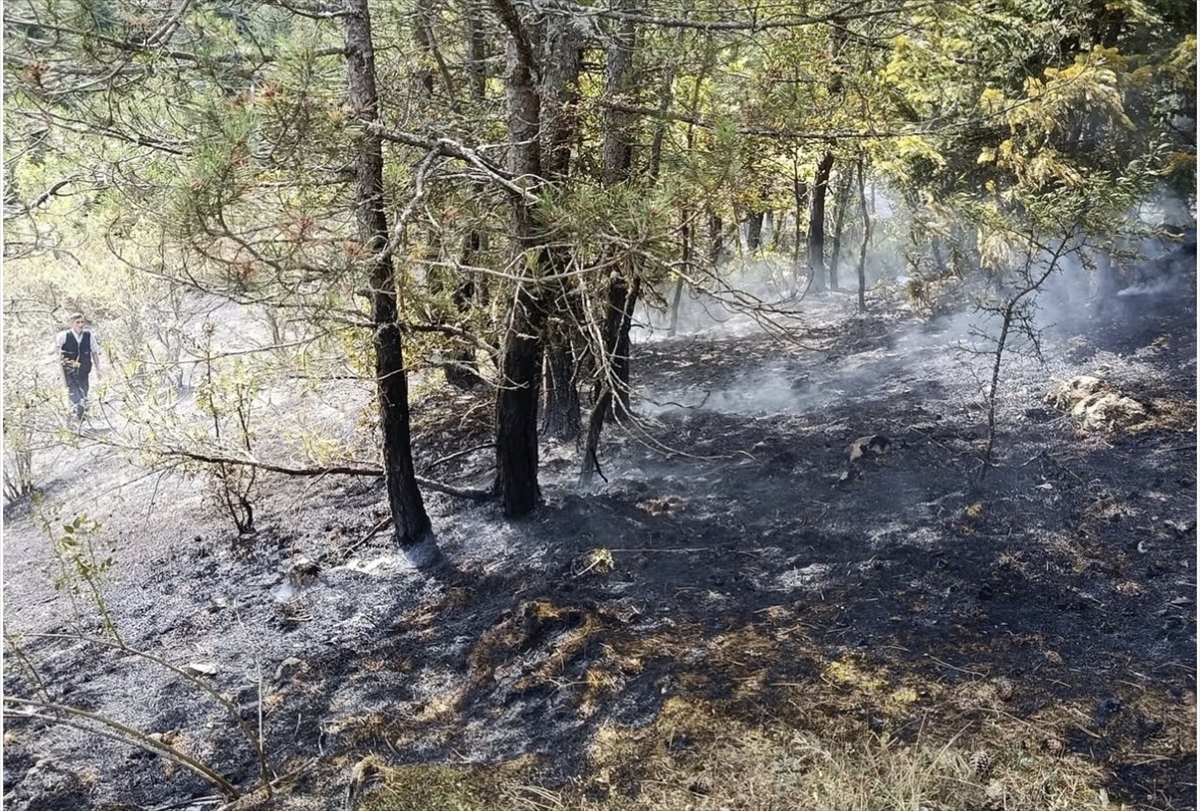 A A 20250927 39243356 39243355 K A S T A M O N U D A C I K A N O R M A N Y A N G I N I S O N D U R U L D U