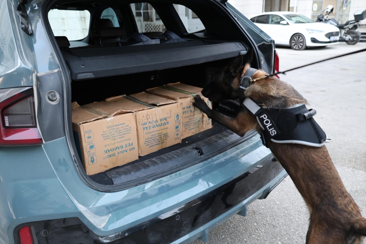 A A 20250928 39247109 39247108 M E R S I N D E 31 K I L O 550 G R A M S E N T E T I K U Y U S T U R U C U E L E G E C I R I L D I