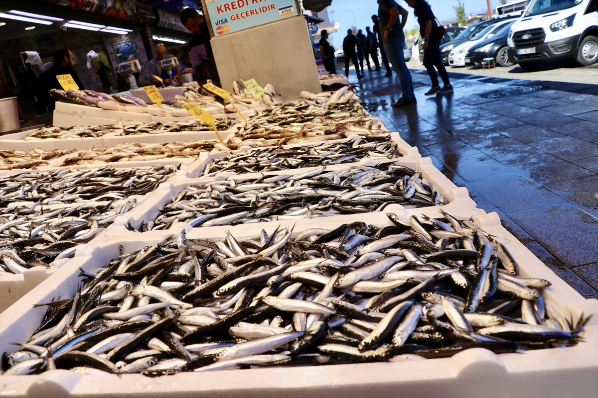 A A 20250928 39249526 39249523 T R A B Z O N D A H A M S I N I N K I L O G R A M I 150 L I R A D A N S A T I L I Y O R