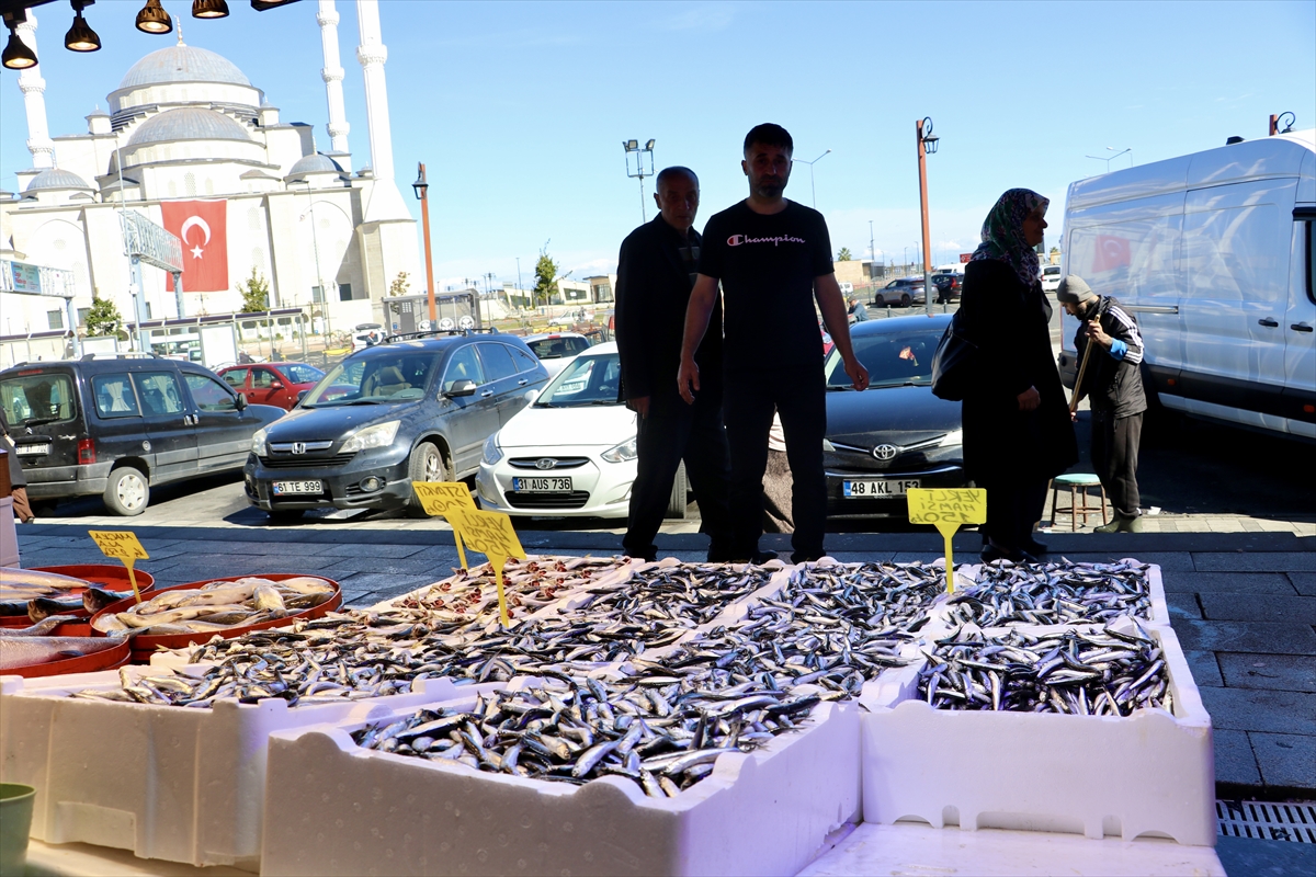 A A 20250928 39249526 39249524 T R A B Z O N D A H A M S I N I N K I L O G R A M I 150 L I R A D A N S A T I L I Y O R