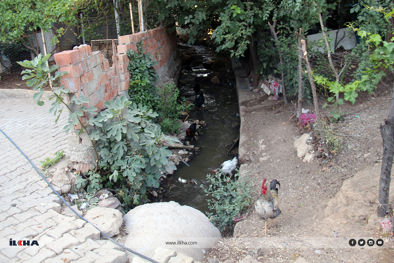 C2Ce4C25 7A14 40F9 9191 Ee29871C386F