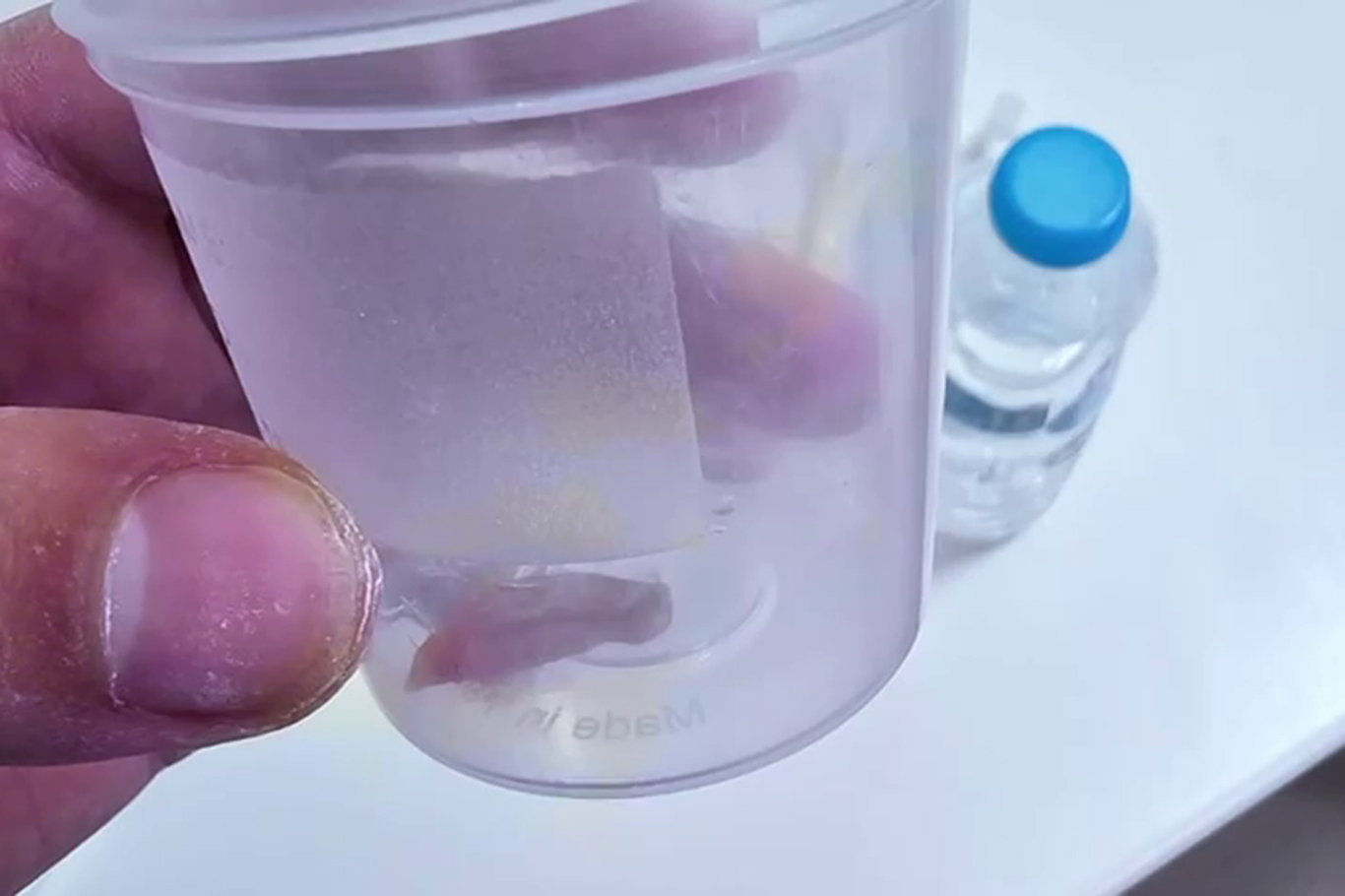 E2Ed888A Eff9 4E4C A086 17A2915507Fe