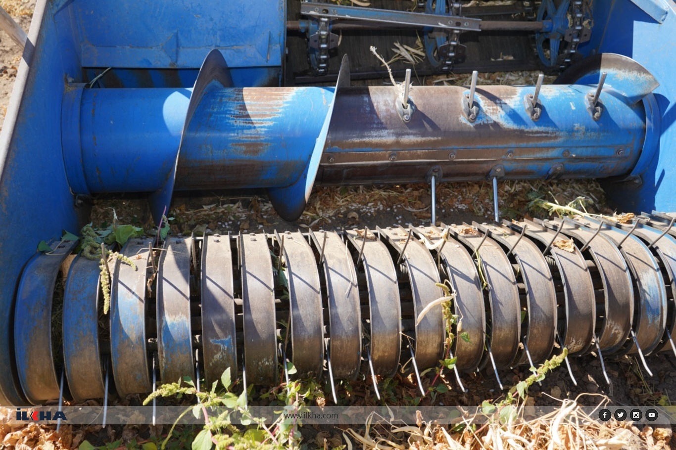 Ee7B7110 A075 4A60 B294 E187Aa44E6Ba