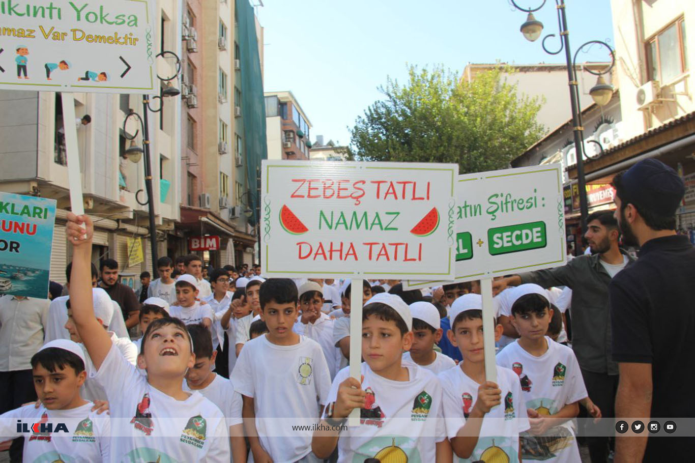 F5B9Feb8 E55A 43F0 B4A6 34D0211073Ea