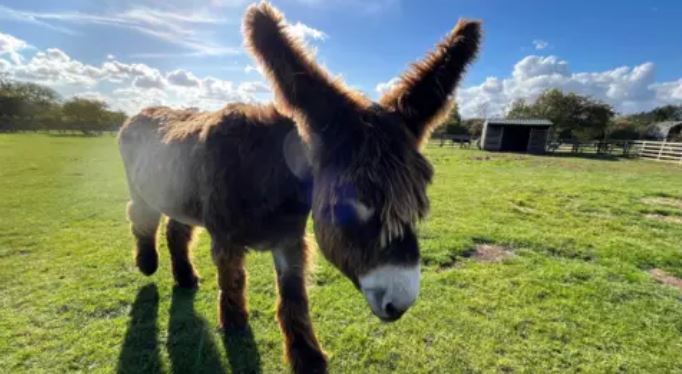 0000000000001111111111112222222022