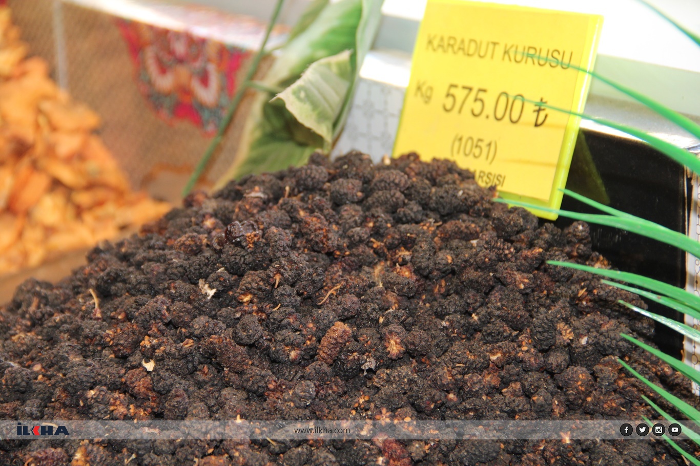 083Bbcf1 970F 4F4A 8587 357Da1Ad628C