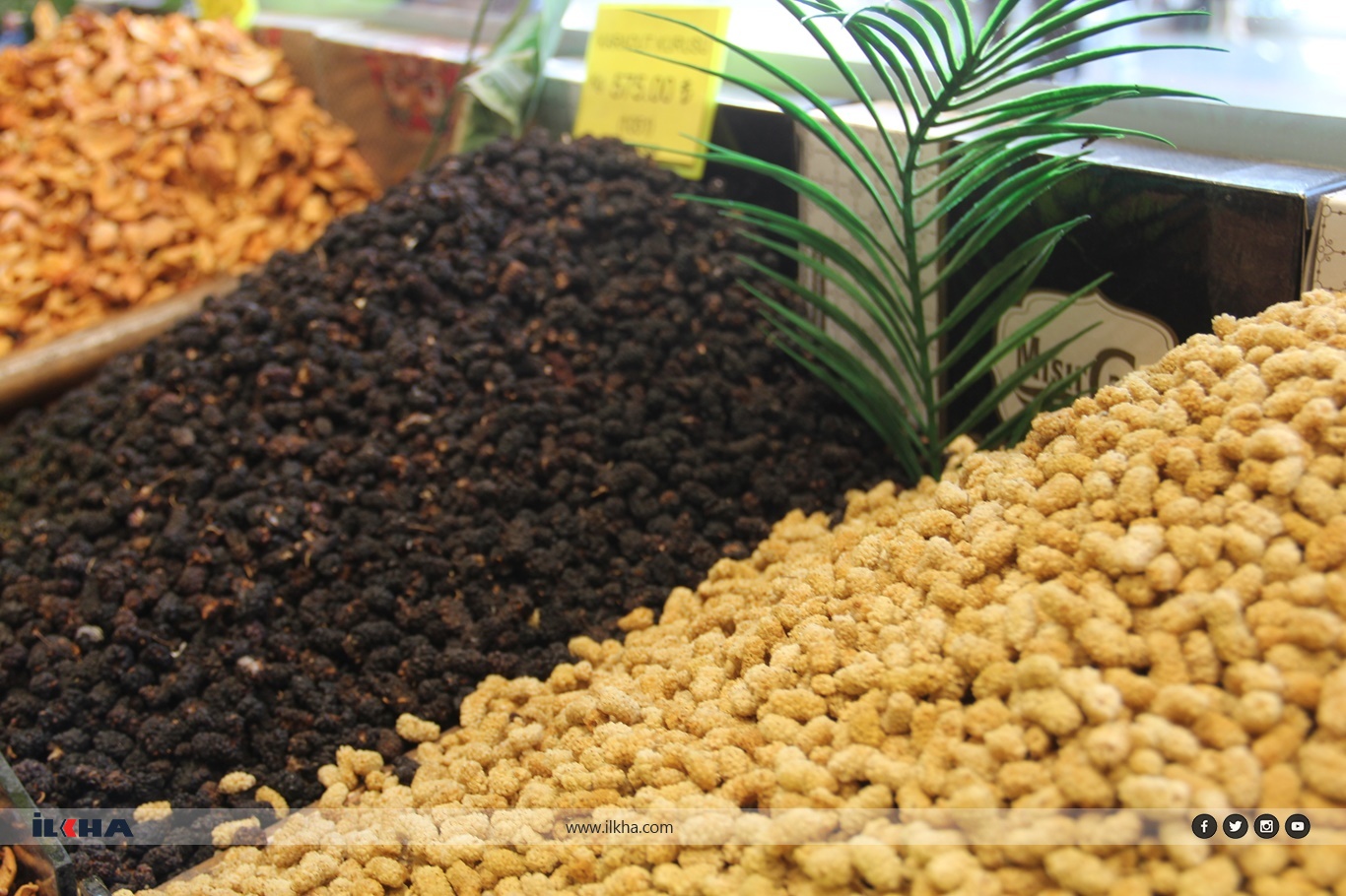 12271Aff E16C 4Feb B1F0 Be04D31Db6Fe