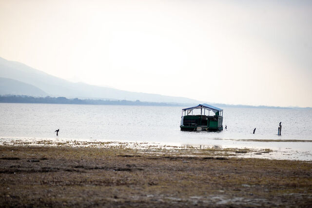 3830935 5Ef4157Eaf0D9E1C1E1Ce1826Fbdb874 640X640