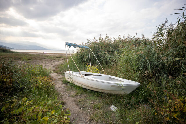 3830935 A045482C5A7C022De57603612F94572A 640X640