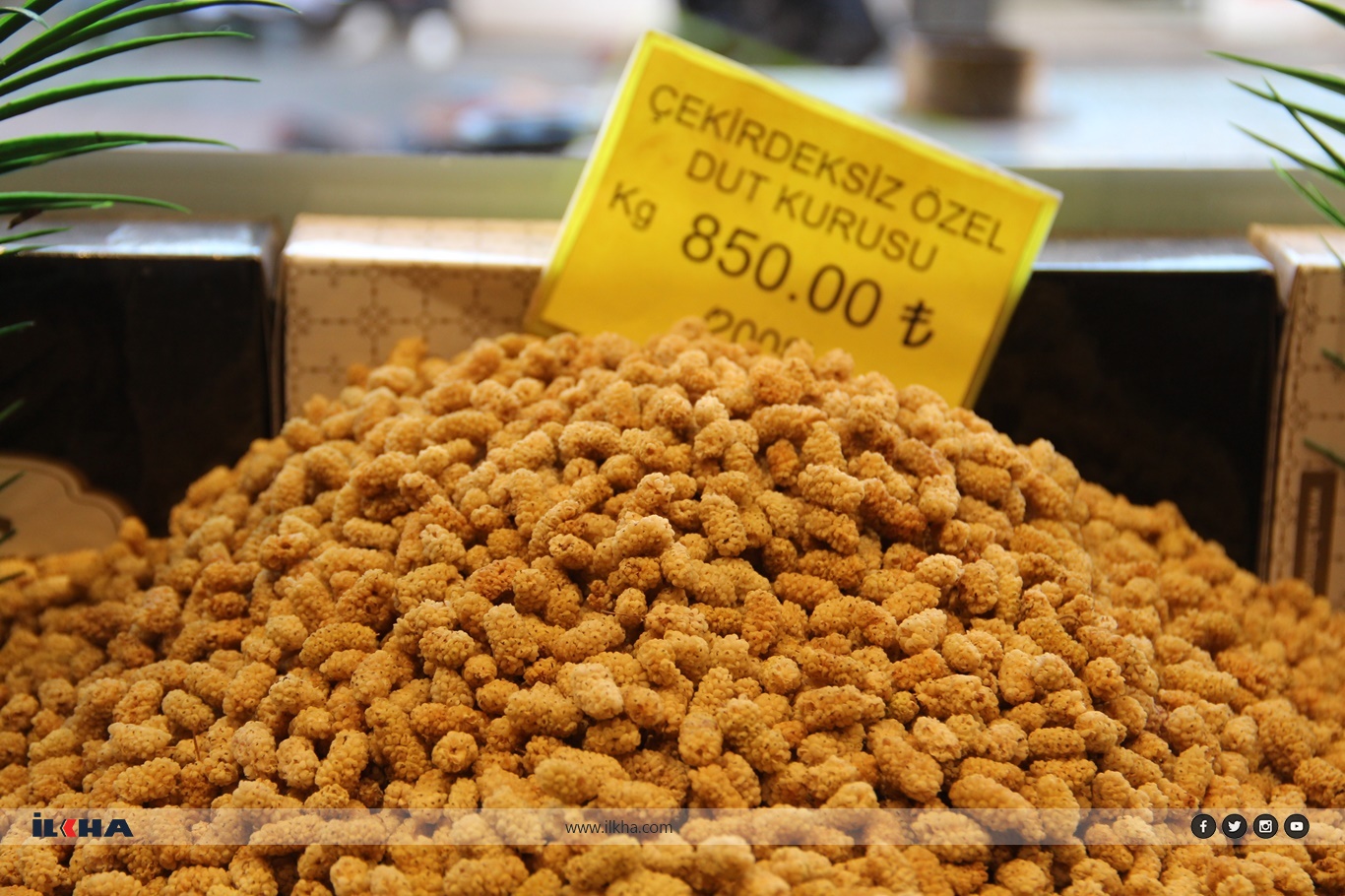 61902Fa9 698C 40C2 B955 371124A6944F