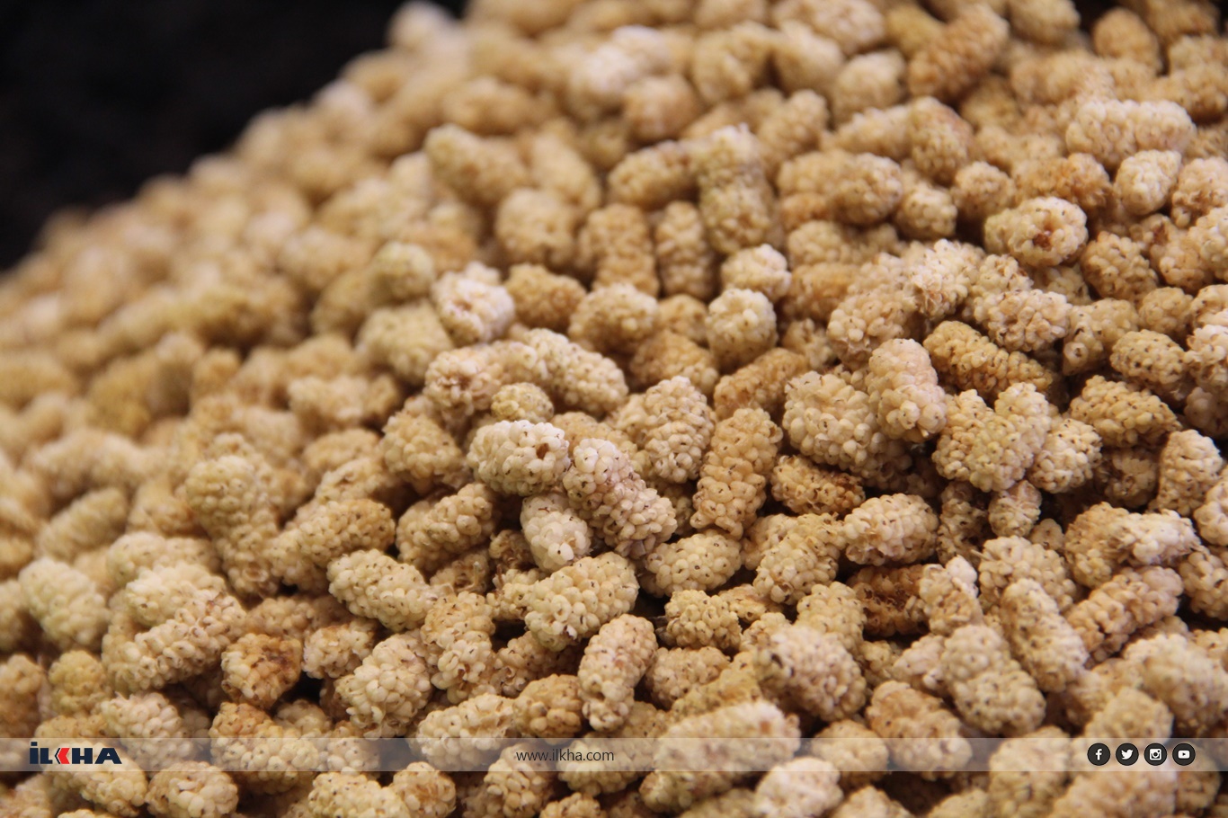 812E540D 47Ae 4B79 9B1D 3E210C4B645A