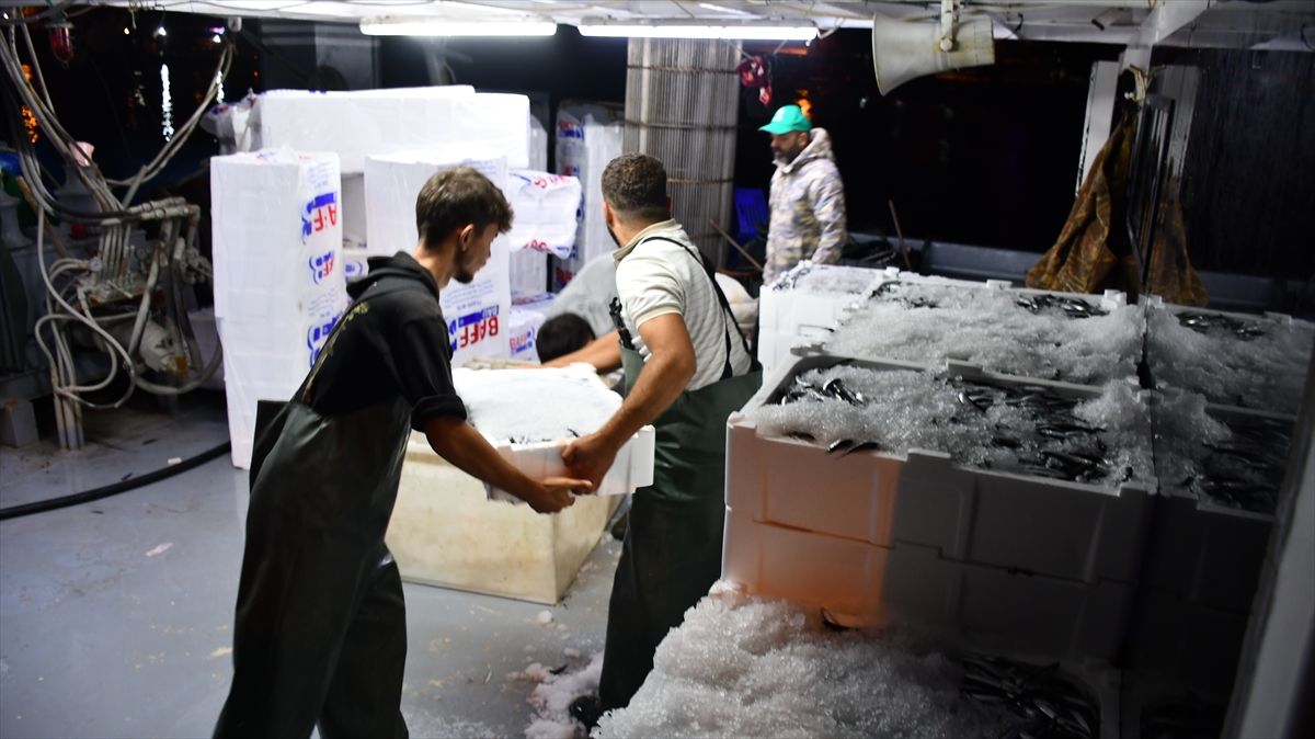 A A 20251002 39284775 39284764 D U Z C E D E H A M S I B O L L U G U B A L I K C I L A R I N Y U Z U N U G U L D U R D U