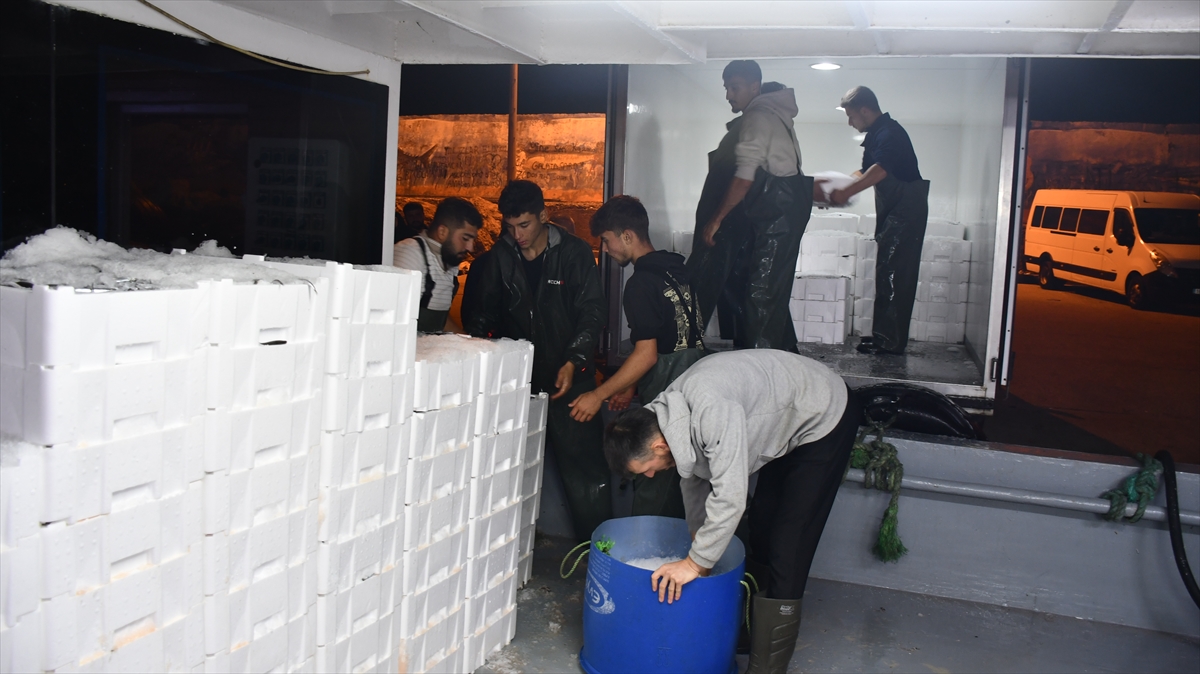 A A 20251002 39284775 39284765 D U Z C E D E H A M S I B O L L U G U B A L I K C I L A R I N Y U Z U N U G U L D U R D U