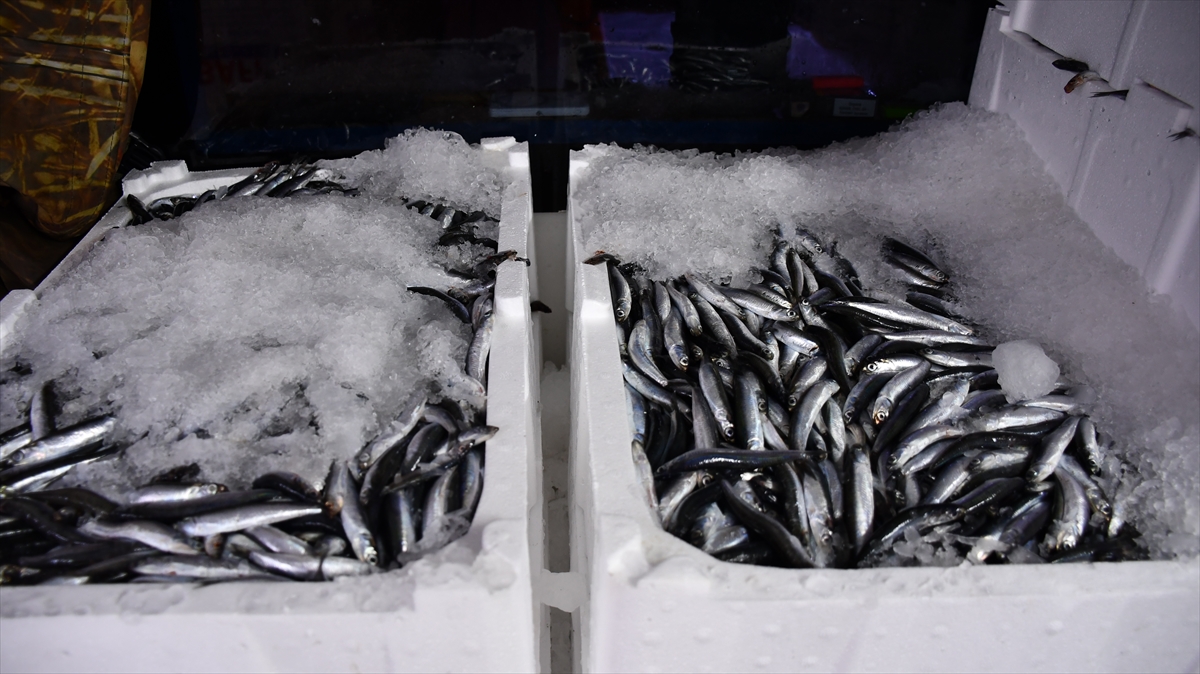 A A 20251002 39284775 39284768 D U Z C E D E H A M S I B O L L U G U B A L I K C I L A R I N Y U Z U N U G U L D U R D U