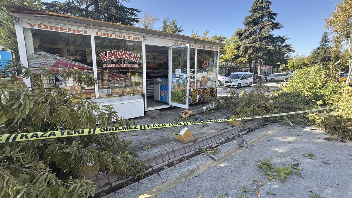 A A 20251005 39314572 39314571 M A L A T Y A D A F R E N I A R I Z A L A N A N K A M Y O N 7 K O N T E Y N E R I S Y E R I N E C A R P T I