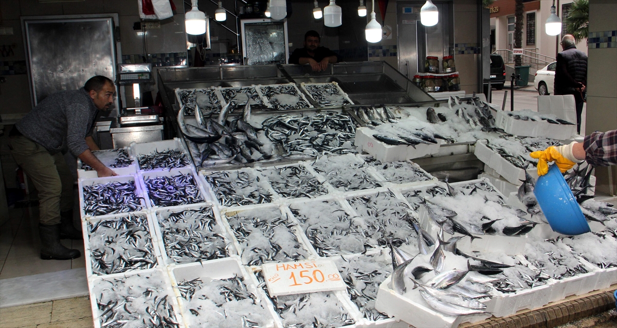 A A 20251005 39317569 39317565 S I N O P T A B A L I K C I T E Z G A H L A R I H A M S I Y L E D O L D U