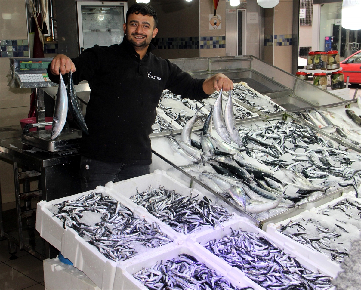 A A 20251005 39317569 39317566 S I N O P T A B A L I K C I T E Z G A H L A R I H A M S I Y L E D O L D U