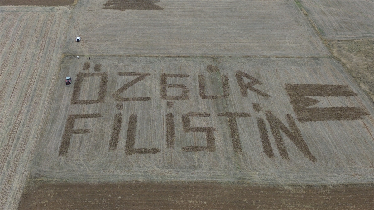 A A 20251006 39328243 39328237 C A N A K K A L E L I C I F T C I F I L I S T I N E D E S T E K I C I N T A R L A S I N A T R A K T O R L E O Z G U R F I L I S T I N Y A Z D I