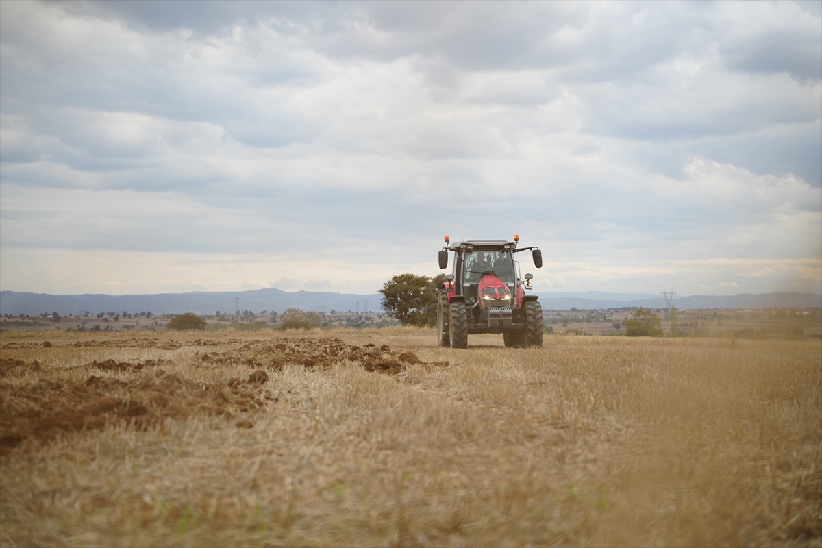 A A 20251006 39328243 39328242 C A N A K K A L E L I C I F T C I F I L I S T I N E D E S T E K I C I N T A R L A S I N A T R A K T O R L E O Z G U R F I L I S T I N Y A Z D I