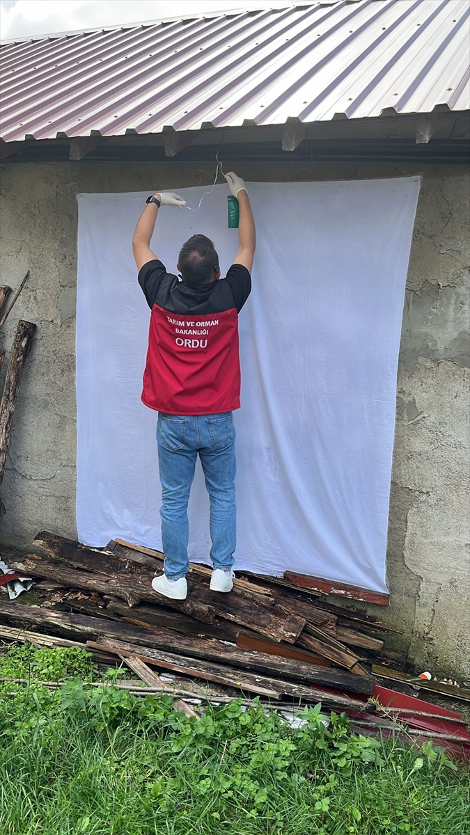 A A 20251006 39328522 39328521 O R D U D A K A H V E R E N G I K O K A R C A Y L A M U C A D E L E D E V A M E D I Y O R