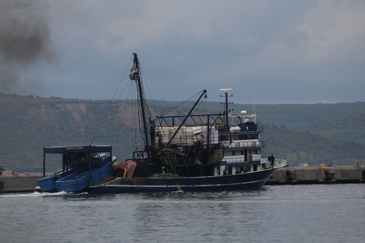 A A 20251011 39381672 39381670 C A N A K K A L E D E D E N I Z D E C I R P I N A N Y A B A N C I U Y R U K L U K I S I Y I B A L I K C I L A R K U R T A R D I