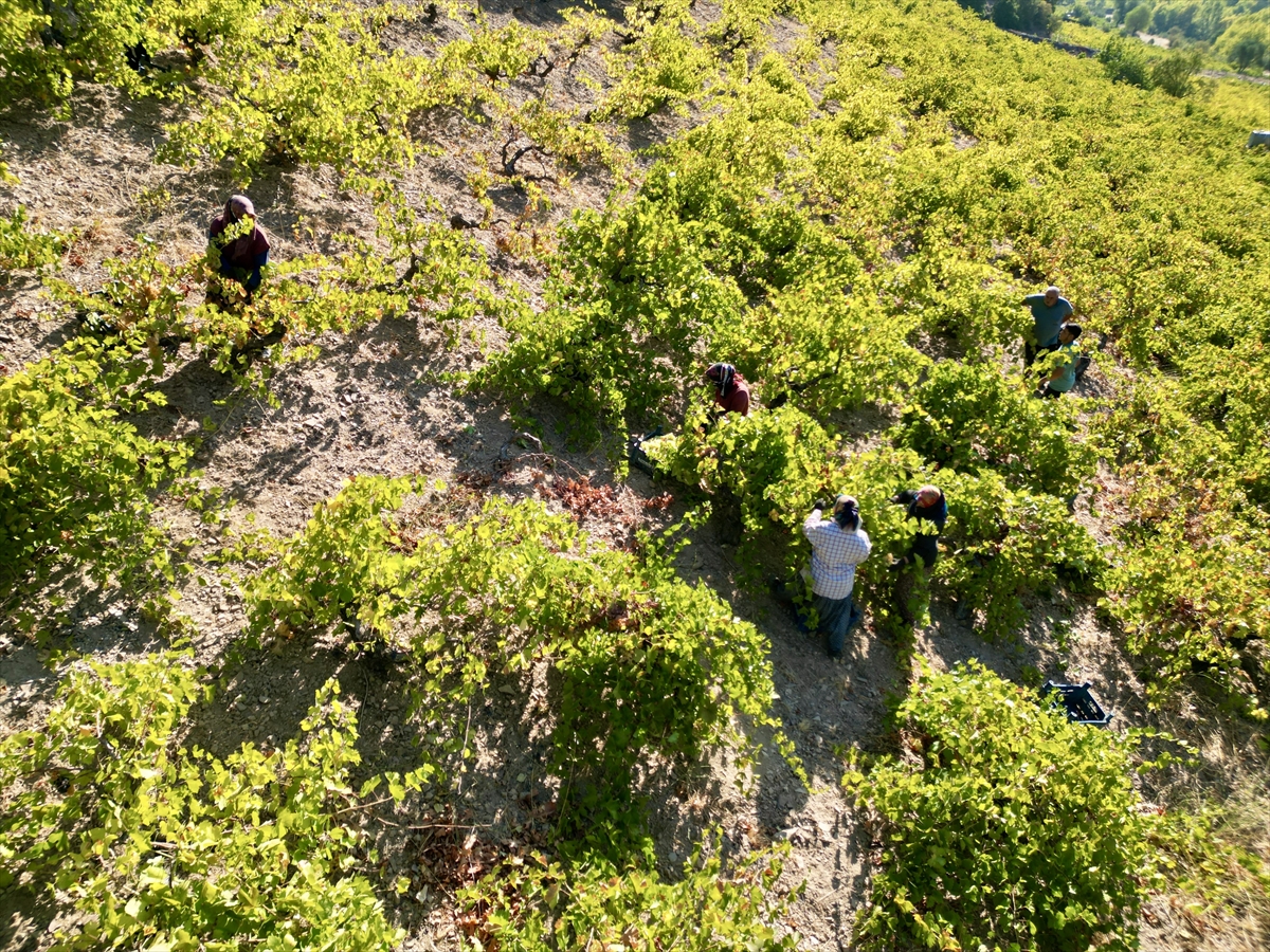 A A 20251012 39388948 39388935 O S M A N I Y E D E B A G B O Z U M U N U N A R D I N D A N P E K M E Z Y A P I M I N A B A S L A N D I