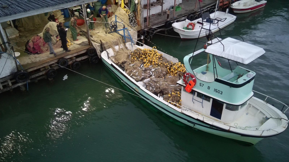 A A 20251016 39425210 39425208 S I N O P T A B A L I K C I L A R B I R G E C E D E 3 B I N 200 P A L A M U T A V L A D I