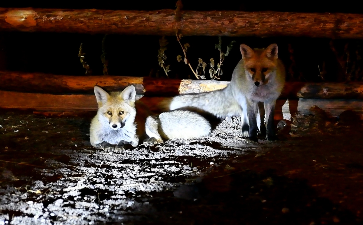 A A 20251018 39445671 39445669 H A V A L A R I N S O G U D U G U K A R S T A B O Z A Y I L A R V E K I Z I L T I L K I L E R I L C E M E R K E Z I N E I N D I