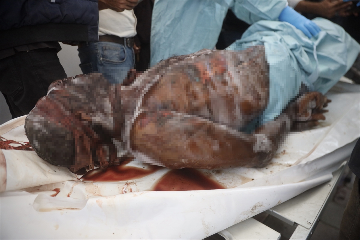 A A 20251018 39452618 39452614 G A Z Z E D E K I S A G L I K B A K A N L I G I I S R A I L I N T E S L I M E T T I G I C E N A Z E L E R I N B A S V E G O G U S B O L G E S I N D E K U R S U N I Z L E R I V A R D I